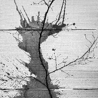 Capture d’écran 2021-01-23 à 20.52.11