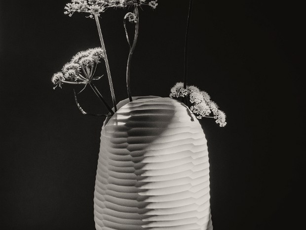 FRANCK FOLLET PHOTOGRAPHY - VASES FLEURIS
